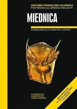 Anatomia prawidłowa człowieka. Miednica - Jerzy Walocha (red.)