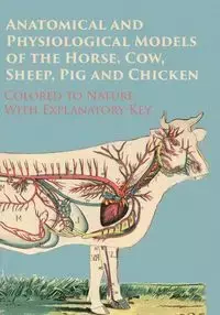 Anatomical and Physiological Models of the Horse, Cow, Sheep, Pig and Chicken - Colored to Nature - With Explanatory Key - Anon.