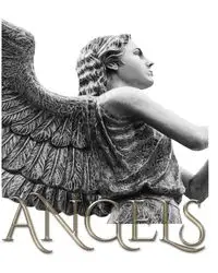 Angel Journal - Michael Huhn Sir