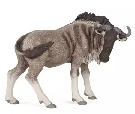 Antylopa Gnu - PAPO