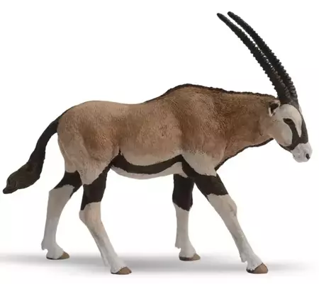 Antylopa Oryx - PAPO