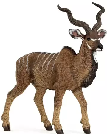 Antylopa kudu wielka - PAPO