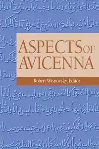 Aspects of Avicenna