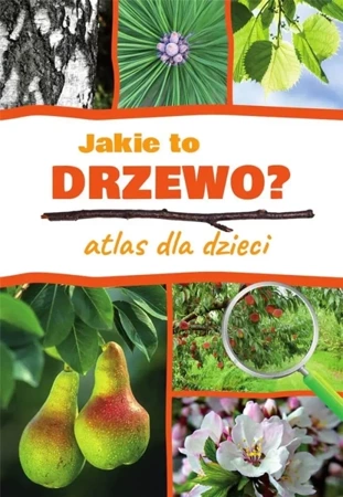 Atlas dla dzieci. Jakie to drzewo? - Aleksandra Halarewicz