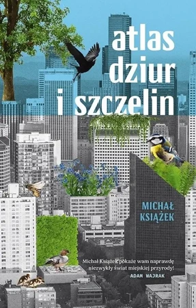 Atlas dziur i szczelin - Michał Książek