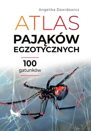 Atlas pająków egzotycznych. 100 gatunków - Angelika Dawidowicz