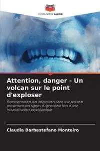 Attention, danger - Un volcan sur le point d'exploser - Claudia Barbastefano Monteiro