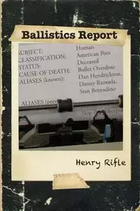 Ballistics Report - Henry Rifle