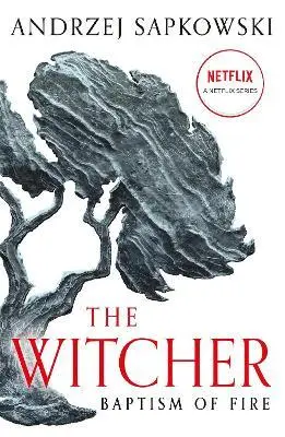 Baptism of Fire. The Witcher. Book 3 - Andrzej Sapkowski