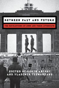 Between Past and Future - Antohi S.