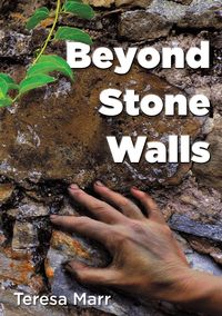 Beyond Stone Walls - Teresa Marr