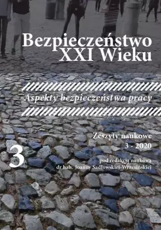 Bezpieczeństwo XXI wieku T.3 - praca zbiorowa