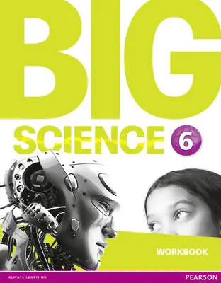 Big Science 6 Workbook SRR