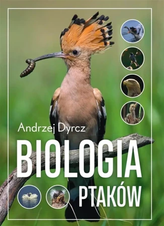 Biologia ptaków - Andrzej Dyrcz