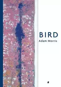 Bird - Morris Adam