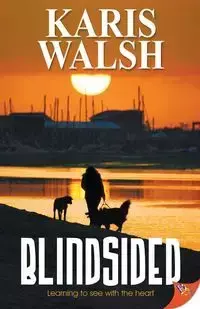 Blindsided - Walsh Karis