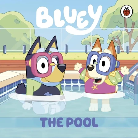 Bluey. The Pool - Bluey