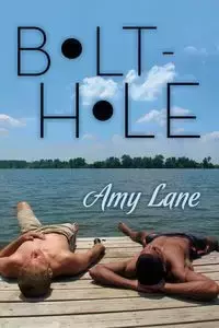 Bolt-hole - Lane Amy