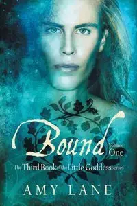 Bound, Vol. 1 - Lane Amy