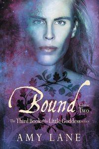 Bound, Vol. 2 - Lane Amy