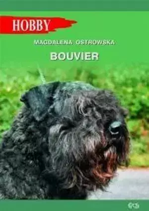 Bouvier - Magdalena Ostrowska