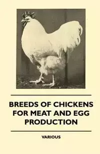 Breeds of Chickens for Meat and Egg Production - Various