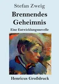 Brennendes Geheimnis (Großdruck) - Stefan Zweig