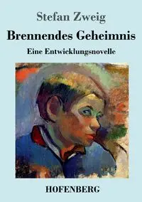 Brennendes Geheimnis - Stefan Zweig