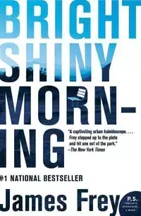 Bright Shiny Morning - James Frey