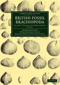 British Fossil Brachiopoda - Volume 2 - Thomas Davidson