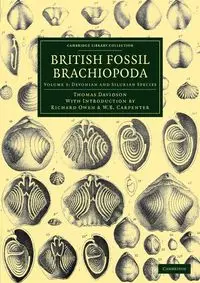 British Fossil Brachiopoda - Volume 3 - Thomas Davidson