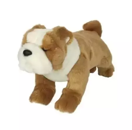 Bulldog 30cm - Dubi