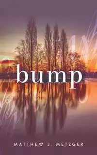 Bump - Matthew J. Metzger