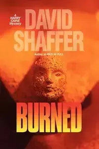 Burned - David Shaffer