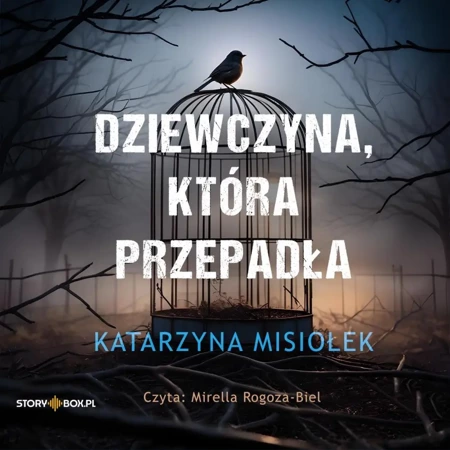 CD MP3 Dziewczyna, która przepadła - Katarzyna Misiołek