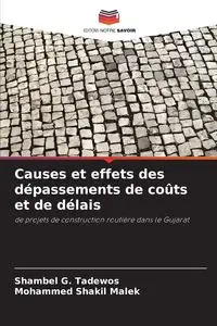 Causes et effets des dépassements de coûts et de délais - G. Tadewos Shambel