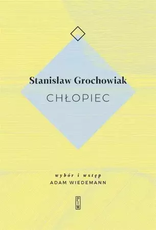 Chłopiec - Stanisław Grochowiak