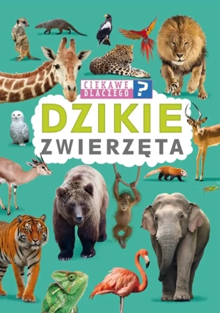 Ciekawe, dlaczego? Dzikie zwierzęta - praca zbiorowa