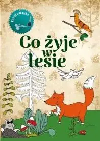 Co żyje w lesie Kolorowanka - Wojciech Gil