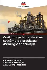 Coût du cycle de vie d'un système de stockage d'énergie thermique - Ali Jaffery Akbar