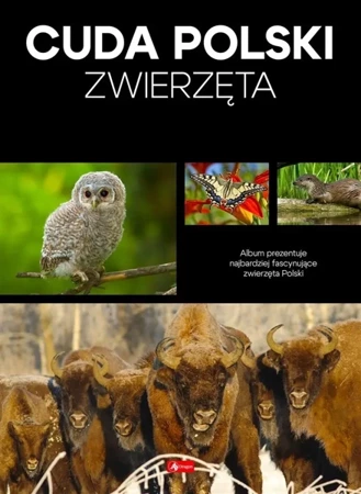 Cuda Polski. Zwierzęta - Opracowanie zbiorowe