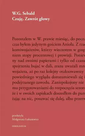 Czuję. Zawrót głowy - W.G. Sebald