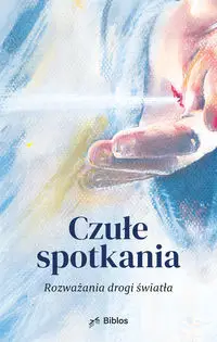 Czułe spotkania - Majewska Agnieszka