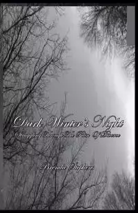 Dark Winter's Night - Brenda Stephens