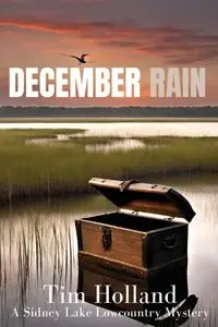 December Rain - Tim Holland