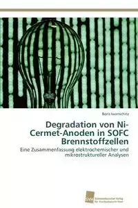 Degradation von Ni-Cermet-Anoden in SOFC Brennstoffzellen - Boris Iwanschitz