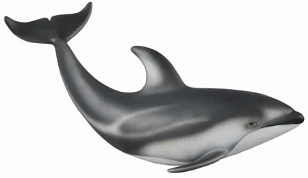 Delfin Pacyfic - Collecta