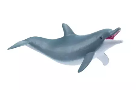 Delfin bawiący się - PAPO