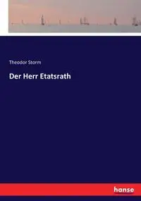 Der Herr Etatsrath - Storm Theodor