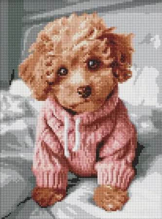 Diamentowa mozaika - Magiczny Maltipoo 30x40cm - Ideyka